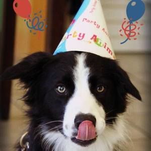 Meet your Posher, Garrett